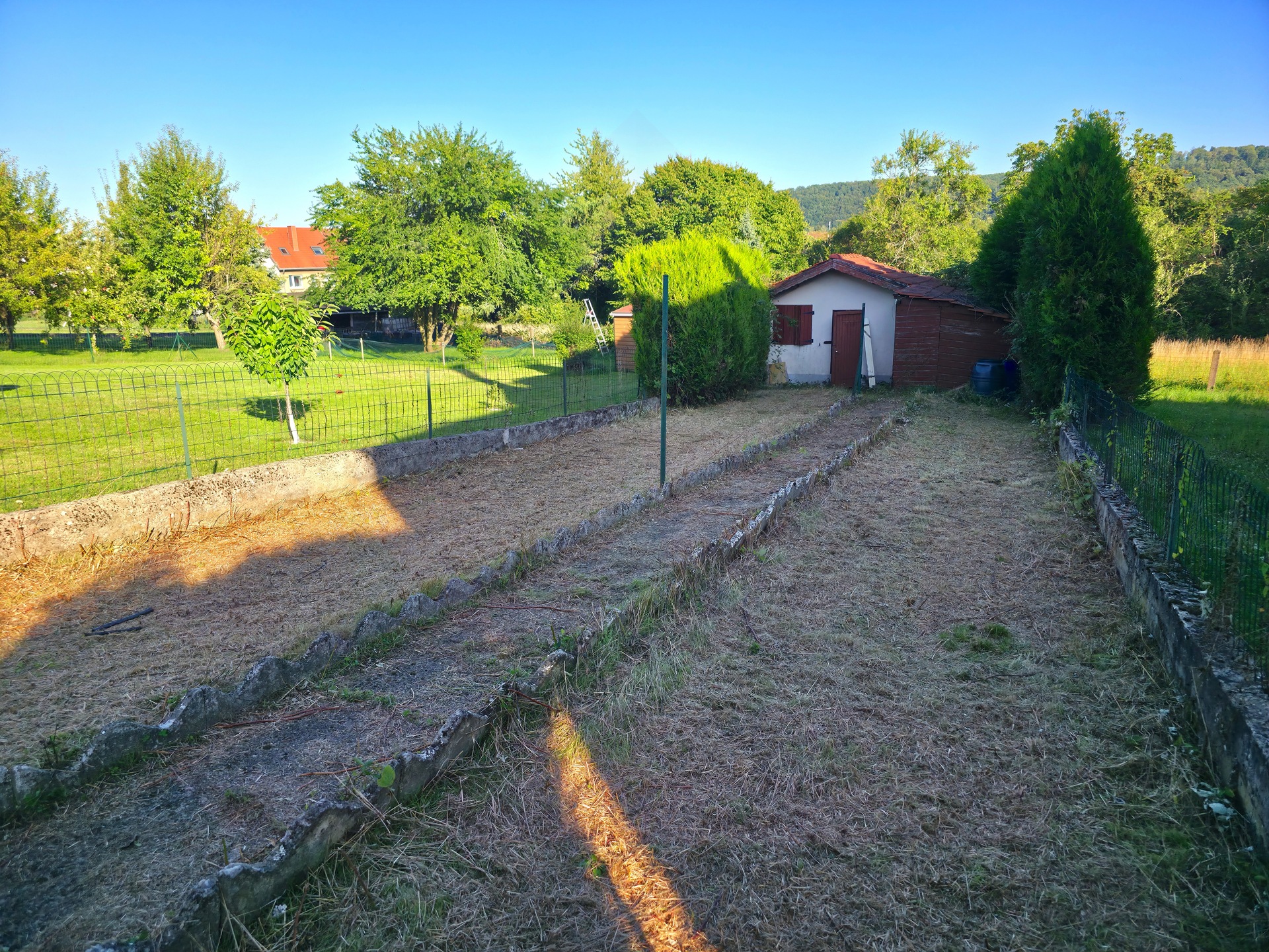 20250808_183908.jpg